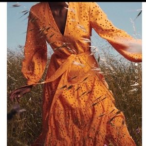 Zara eyelet midi dress